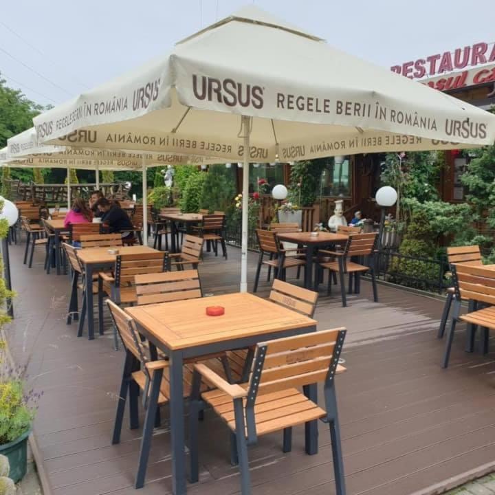 Pensiunea Carul Cu Flori Oravita Esterno foto